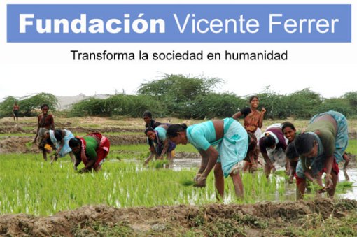 fundacion-vicente-ferrer